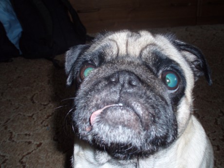 Lukášovi 25 narozeniny 046.jpg